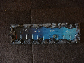 Jogo de tabuleiro cooperativo A Ilha Proibida