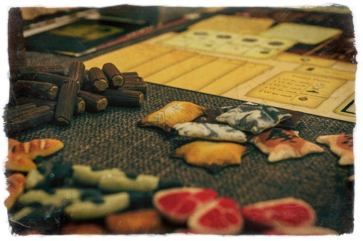Componentes muito bacanas para jogo Robinson Crusoe
