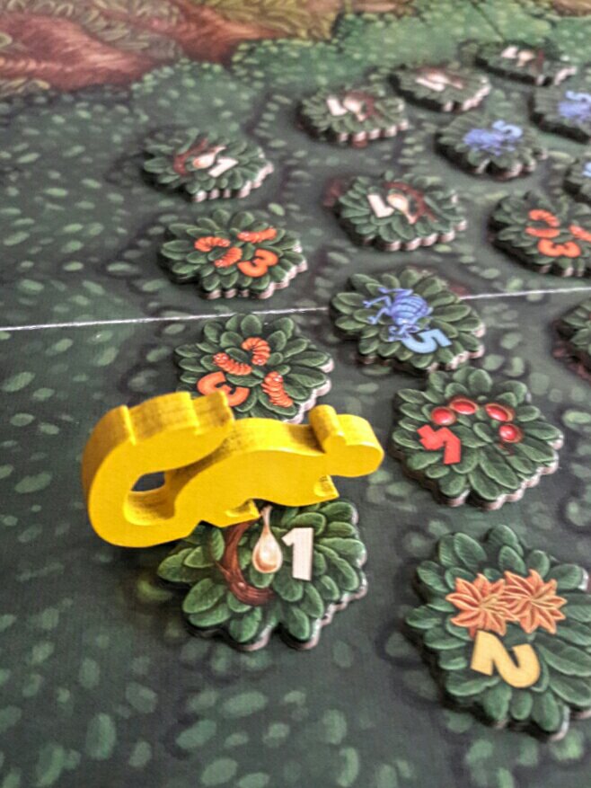 Jogo de tabuleiro Sugar Gliders componentes