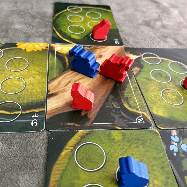 Sapos na lagoa em Bullfrogs