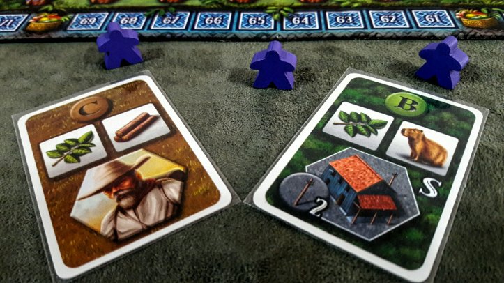 Cartas Recursos jogo de tabuleiro Xingu