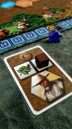 Carta de recurso jogo de tabuleiro Xingu