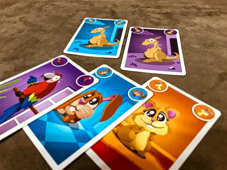 Carta promocional Canguru do jogo infantil Quem Foi?