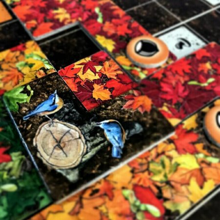 Jogo de tabuleiro Indian Summer