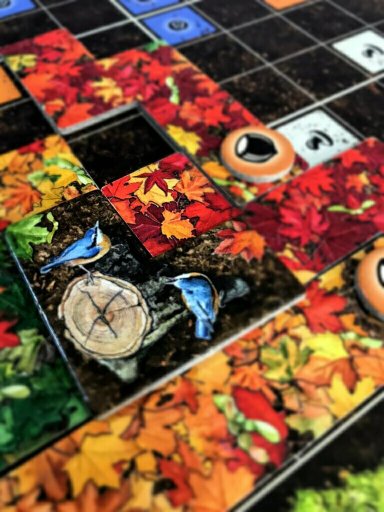 Jogo de tabuleiro Indian Summer