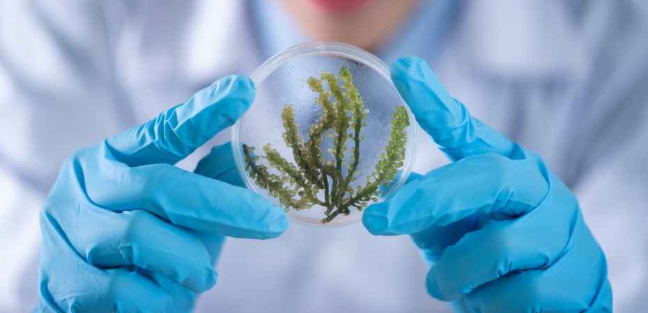 9 jogos para estimular a curiosidade