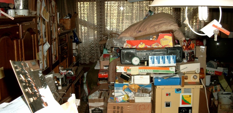 Conheça 4 tipos de colecionadores