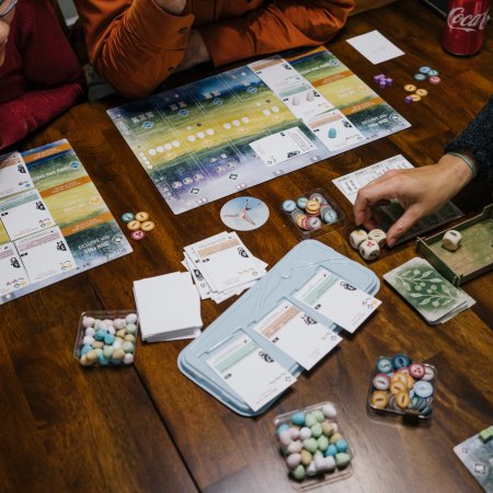 Elizabeth Hargrave - Wingspan