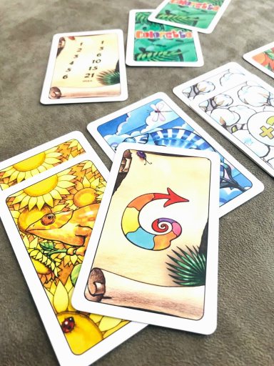 Jogo de tabuleiro Coloretto