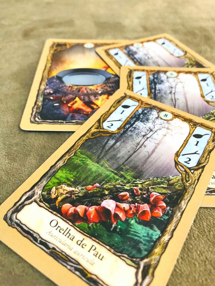 Jogo de tabuleiro Fungi