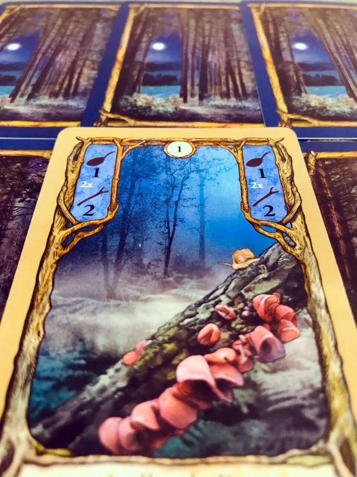 Jogo de tabuleiro Fungi