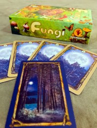 Jogo de tabuleiro Fungi