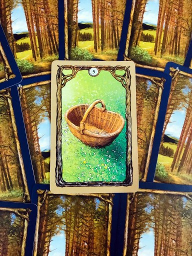 Jogo de tabuleiro Fungi