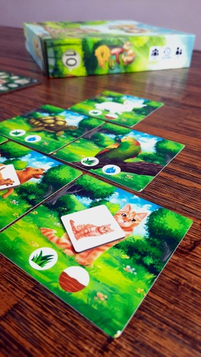 Jogo de tabuleiro PETS