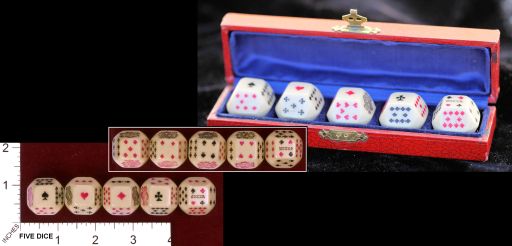 Dados celuloide Kevin Cook