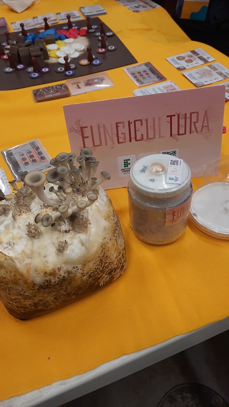 Diversão Offline 2023